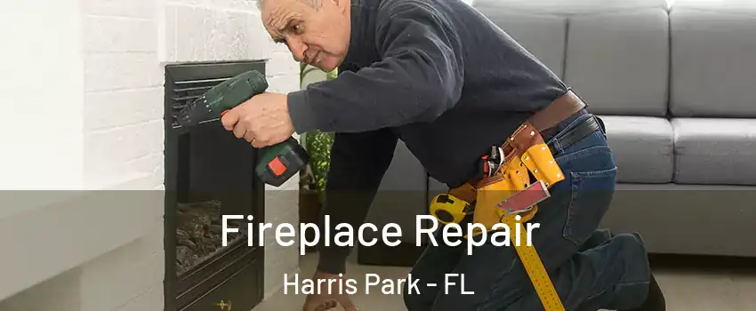 Fireplace Repair Harris Park - FL