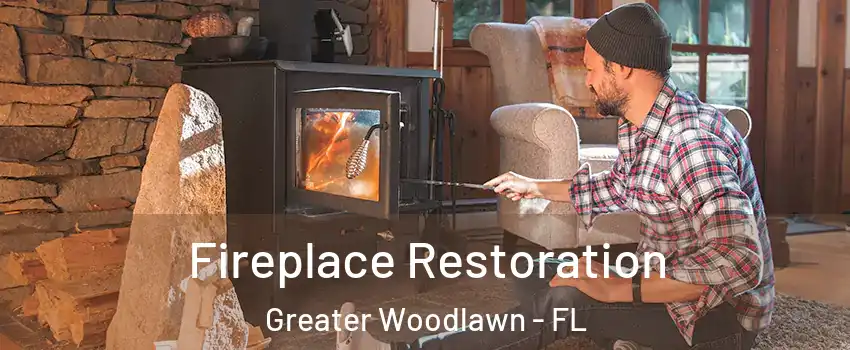 Fireplace Restoration Greater Woodlawn - FL
