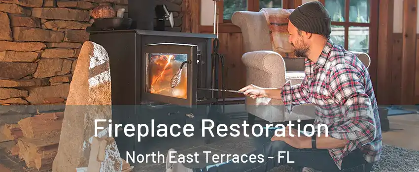 Fireplace Restoration North East Terraces - FL