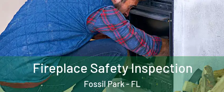 Fireplace Safety Inspection Fossil Park - FL