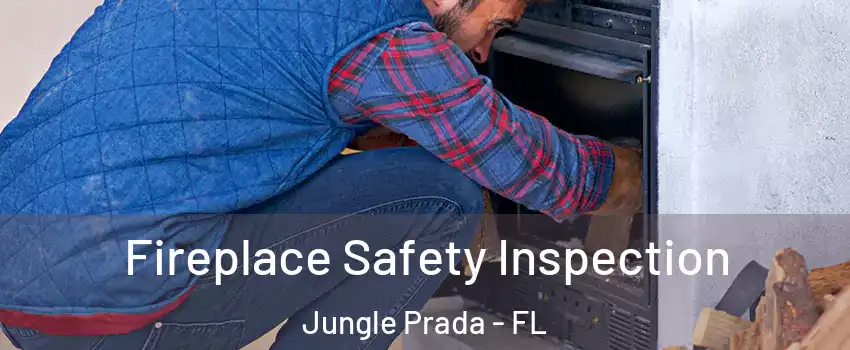 Fireplace Safety Inspection Jungle Prada - FL