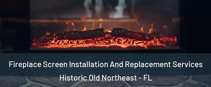 Fireplace Screen Installation And Replacement Services Historic Old Northeast - FL