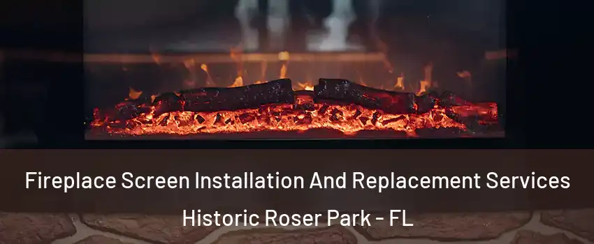 Fireplace Screen Installation And Replacement Services Historic Roser Park - FL
