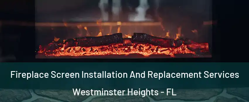 Fireplace Screen Installation And Replacement Services Westminster Heights - FL
