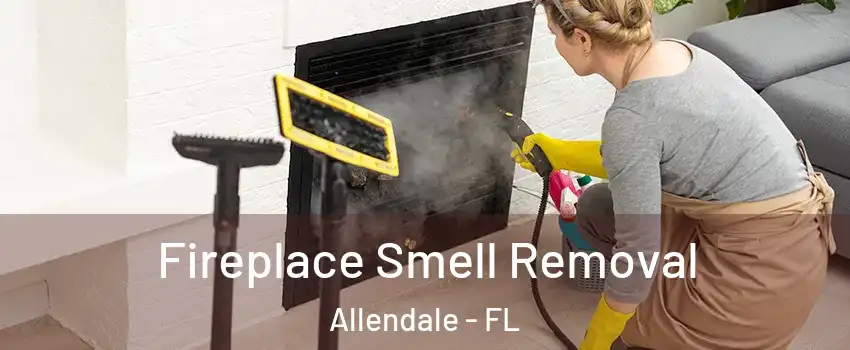 Fireplace Smell Removal Allendale - FL