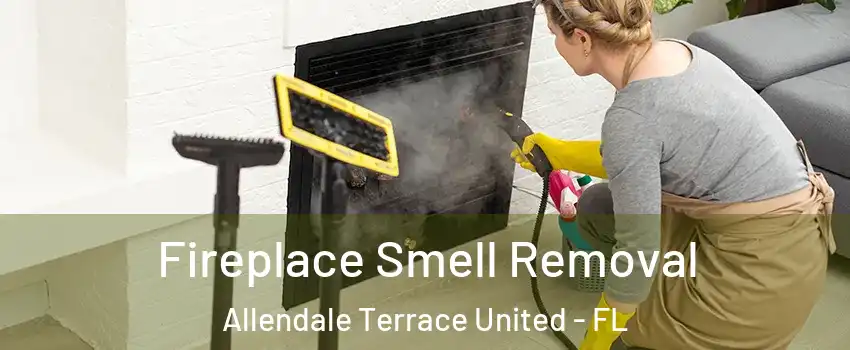 Fireplace Smell Removal Allendale Terrace United - FL
