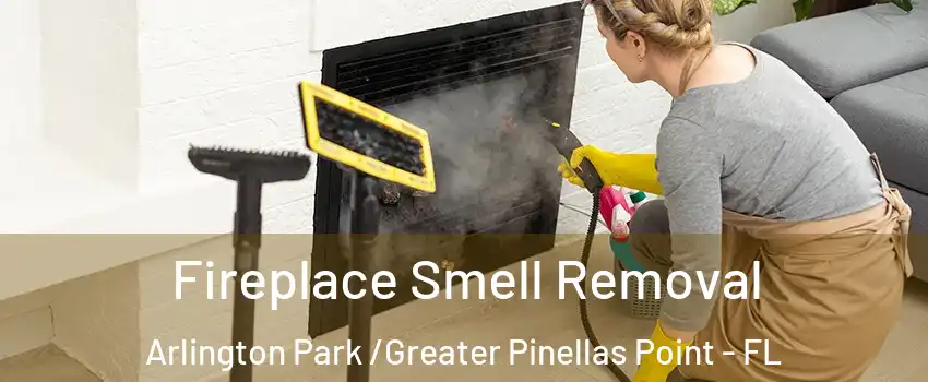 Fireplace Smell Removal Arlington Park /Greater Pinellas Point - FL