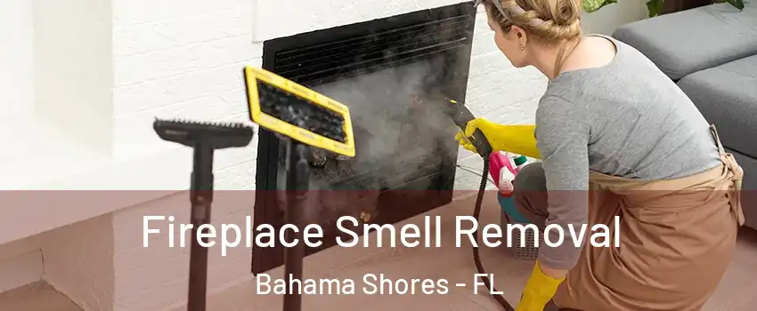 Fireplace Smell Removal Bahama Shores - FL