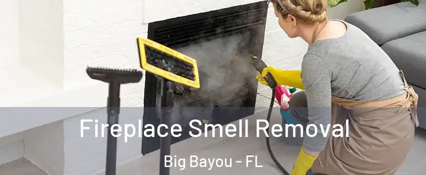 Fireplace Smell Removal Big Bayou - FL