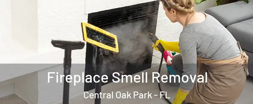 Fireplace Smell Removal Central Oak Park - FL
