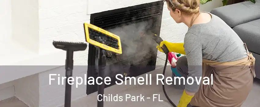 Fireplace Smell Removal Childs Park - FL