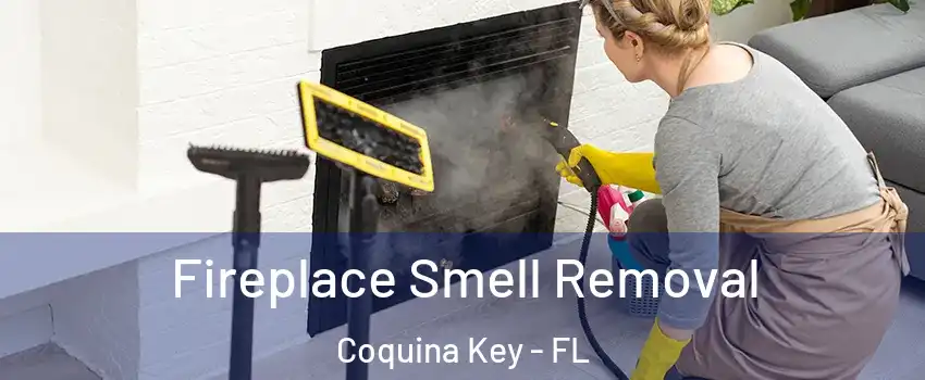 Fireplace Smell Removal Coquina Key - FL