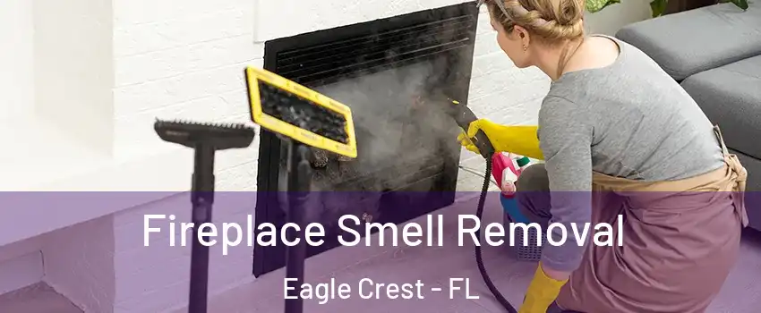 Fireplace Smell Removal Eagle Crest - FL