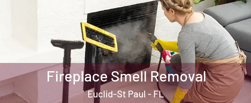 Fireplace Smell Removal Euclid-St Paul - FL