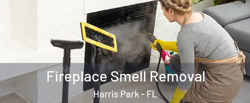 Fireplace Smell Removal Harris Park - FL
