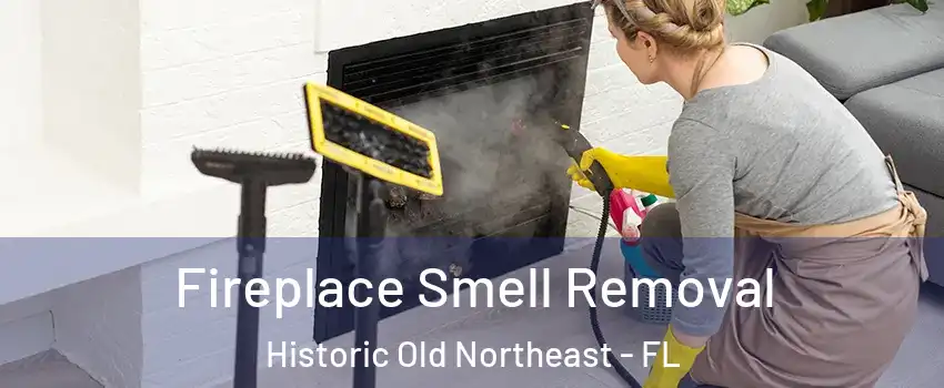 Fireplace Smell Removal Historic Old Northeast - FL