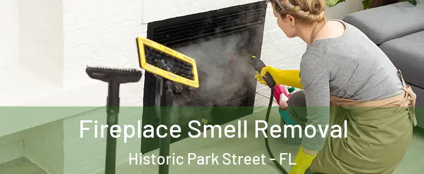 Fireplace Smell Removal Historic Park Street - FL