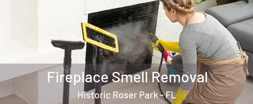 Fireplace Smell Removal Historic Roser Park - FL