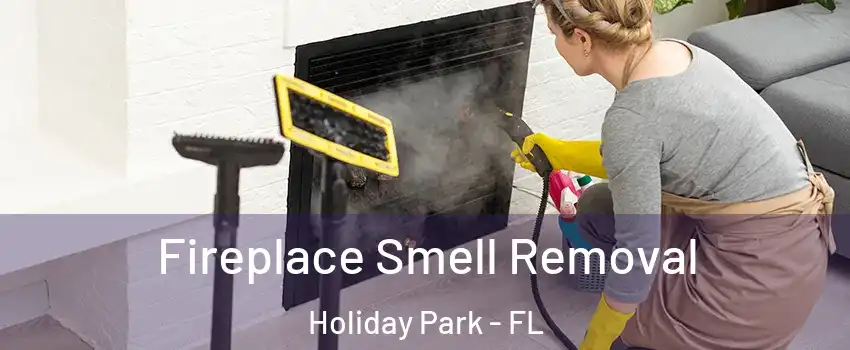 Fireplace Smell Removal Holiday Park - FL