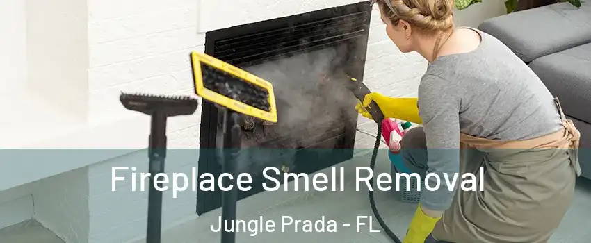 Fireplace Smell Removal Jungle Prada - FL