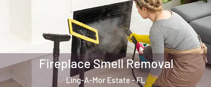 Fireplace Smell Removal Ling-A-Mor Estate - FL