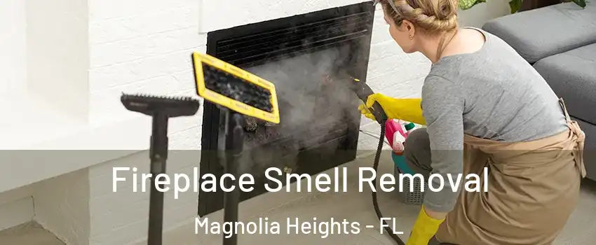Fireplace Smell Removal Magnolia Heights - FL