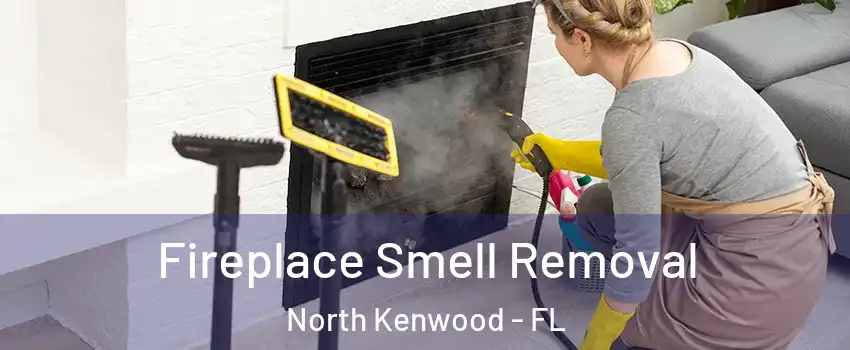 Fireplace Smell Removal North Kenwood - FL