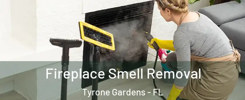 Fireplace Smell Removal Tyrone Gardens - FL
