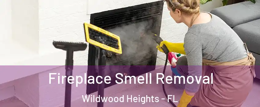 Fireplace Smell Removal Wildwood Heights - FL