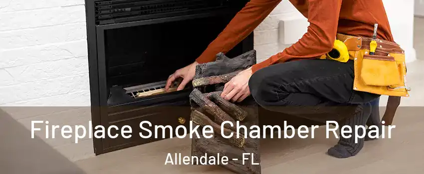 Fireplace Smoke Chamber Repair Allendale - FL