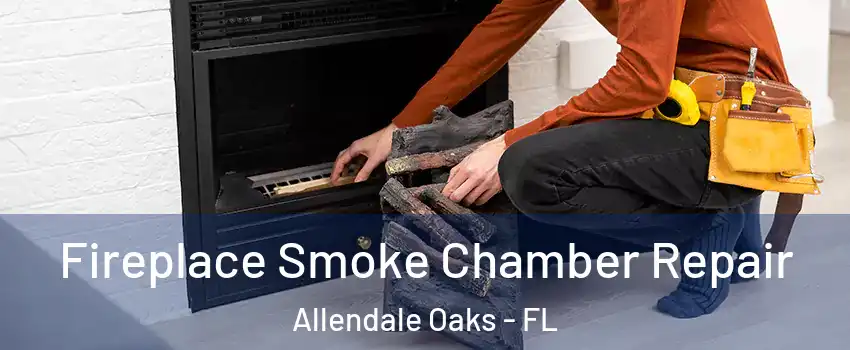 Fireplace Smoke Chamber Repair Allendale Oaks - FL