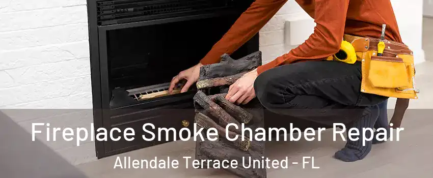 Fireplace Smoke Chamber Repair Allendale Terrace United - FL