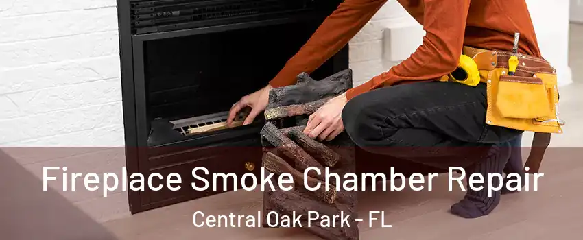 Fireplace Smoke Chamber Repair Central Oak Park - FL