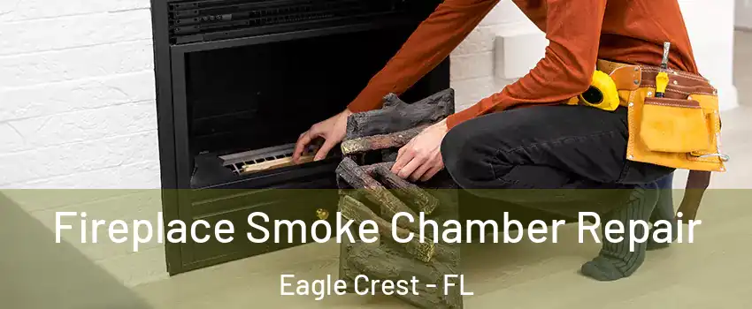 Fireplace Smoke Chamber Repair Eagle Crest - FL
