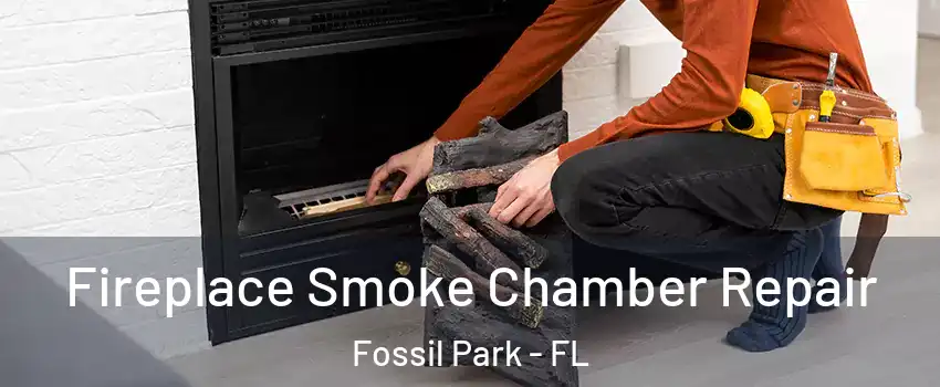 Fireplace Smoke Chamber Repair Fossil Park - FL