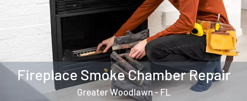 Fireplace Smoke Chamber Repair Greater Woodlawn - FL