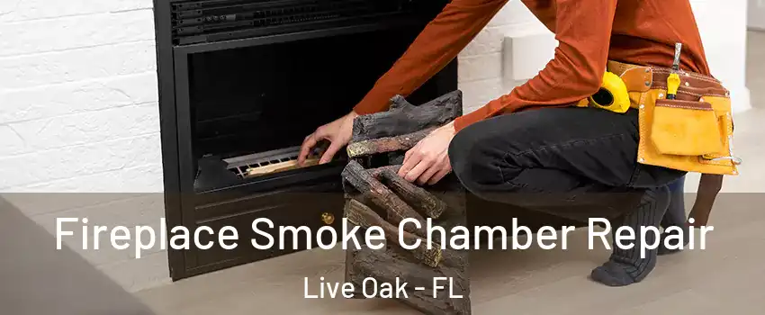 Fireplace Smoke Chamber Repair Live Oak - FL