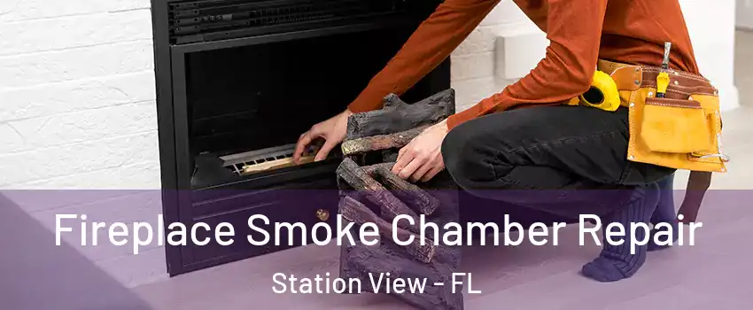 Fireplace Smoke Chamber Repair Station View - FL