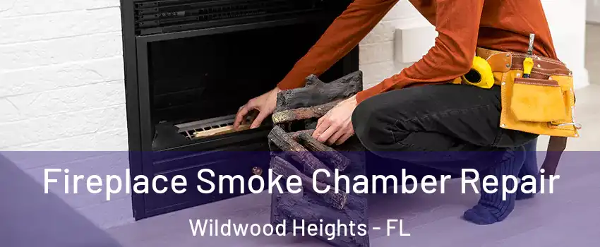 Fireplace Smoke Chamber Repair Wildwood Heights - FL