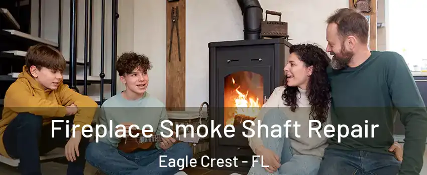 Fireplace Smoke Shaft Repair Eagle Crest - FL