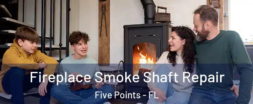 Fireplace Smoke Shaft Repair Five Points - FL