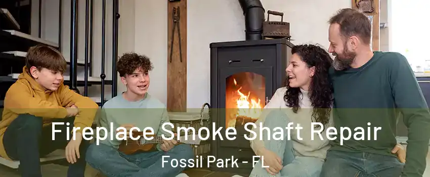 Fireplace Smoke Shaft Repair Fossil Park - FL