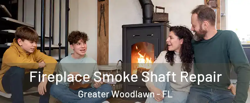 Fireplace Smoke Shaft Repair Greater Woodlawn - FL