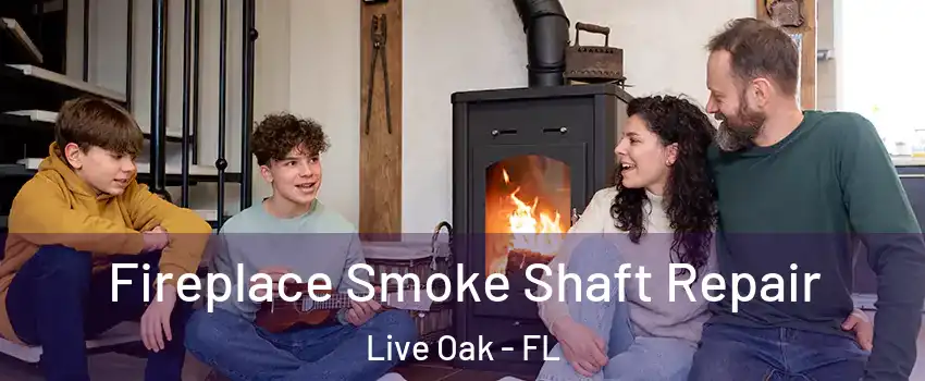 Fireplace Smoke Shaft Repair Live Oak - FL