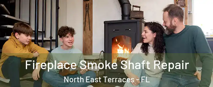 Fireplace Smoke Shaft Repair North East Terraces - FL