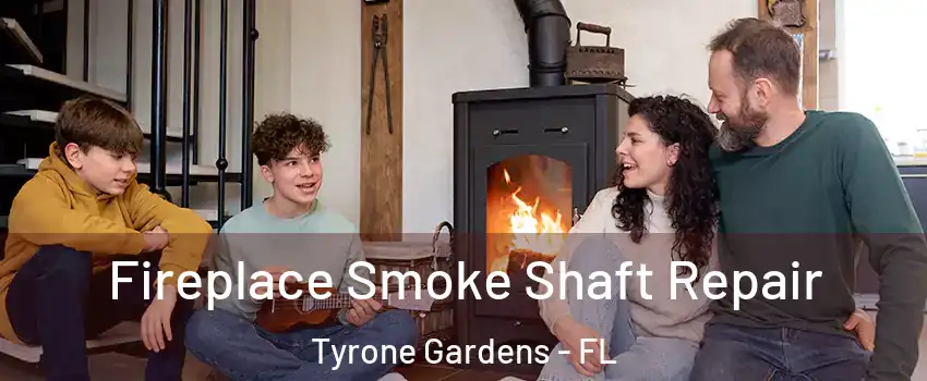 Fireplace Smoke Shaft Repair Tyrone Gardens - FL