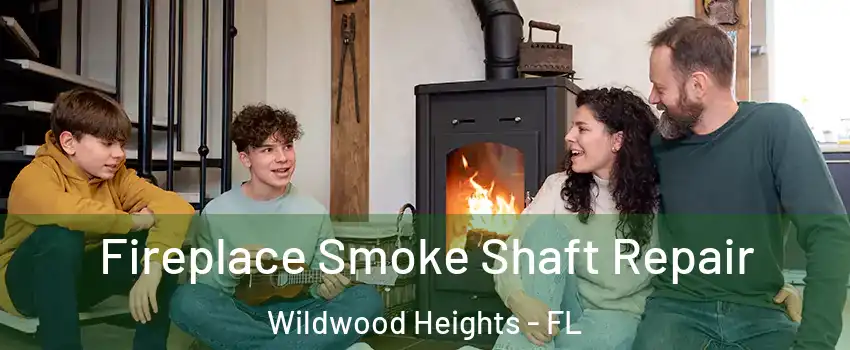 Fireplace Smoke Shaft Repair Wildwood Heights - FL