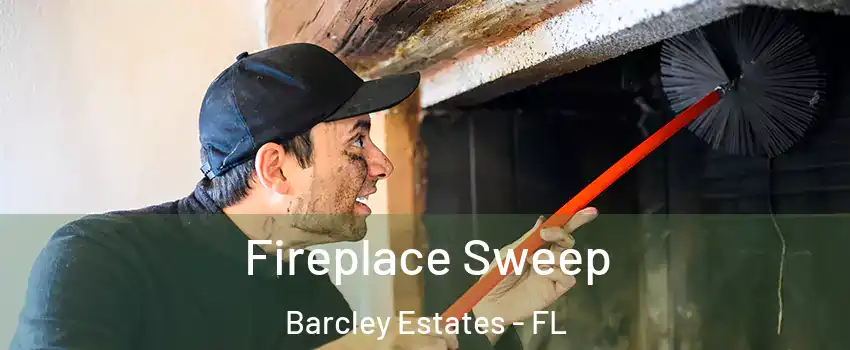 Fireplace Sweep Barcley Estates - FL