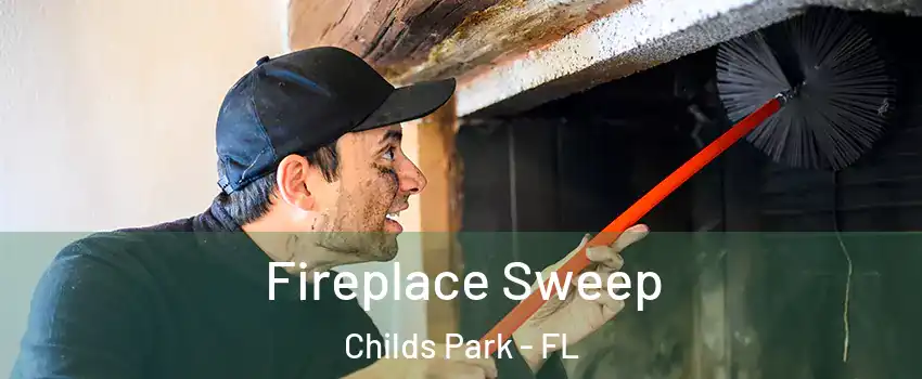 Fireplace Sweep Childs Park - FL