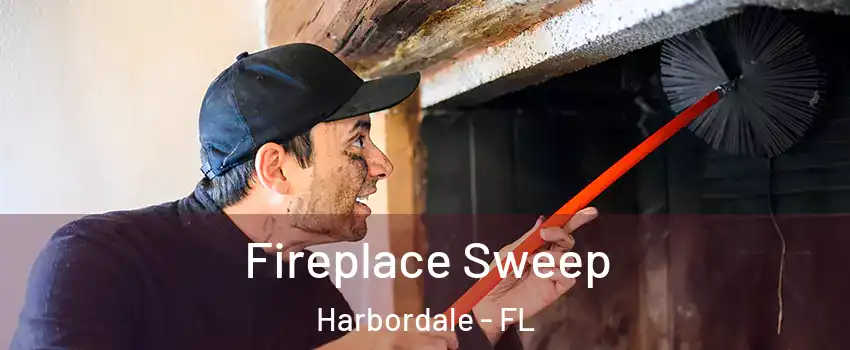Fireplace Sweep Harbordale - FL